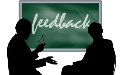 Feedback y sincericidio